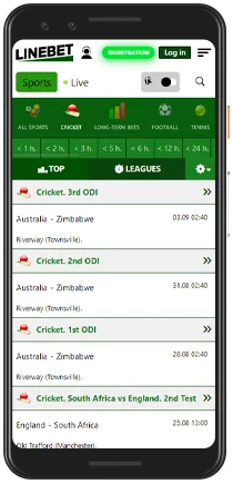 linebet cricket betting in the app